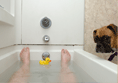 personal_insurance_image
